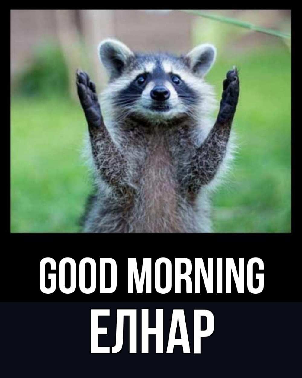 Greetings card с именем, Елнар Good morning хорошее настроение утречком Greetings with text for free download 