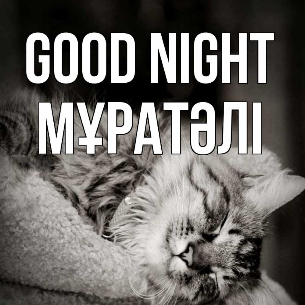 Greetings card с именем, Мұратәлі Good night котярик пушистый Greetings with text for free download 