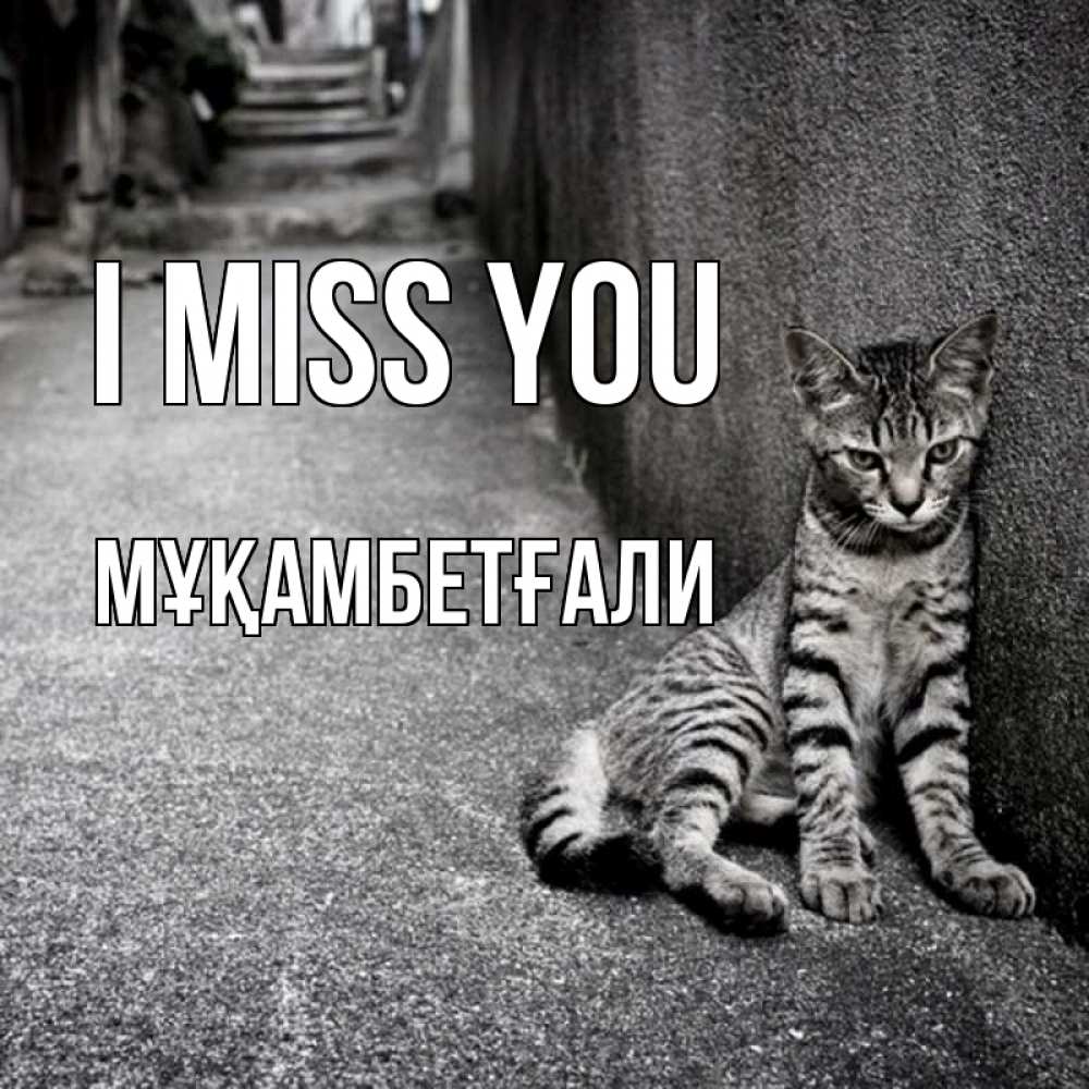 Greetings card с именем, Мұқамбетғали I miss you одиноко котику Greetings with text for free download 