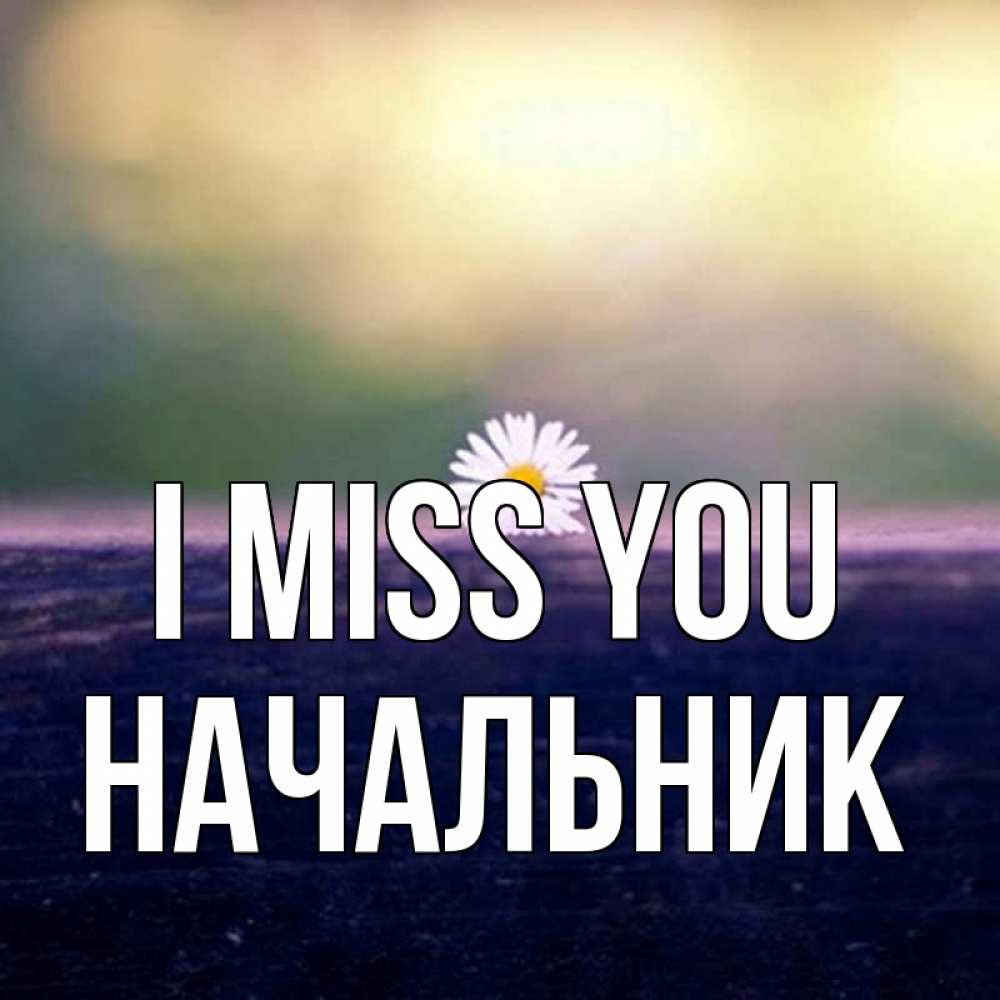 Greetings card с именем, Начальник I miss you приходи в гости Greetings with text for free download 
