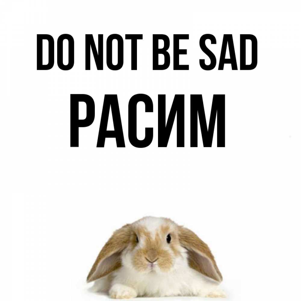 Greetings card с именем, Расим Do not be sad коричнево белый заяц с большими ушками Greetings with text for free download 