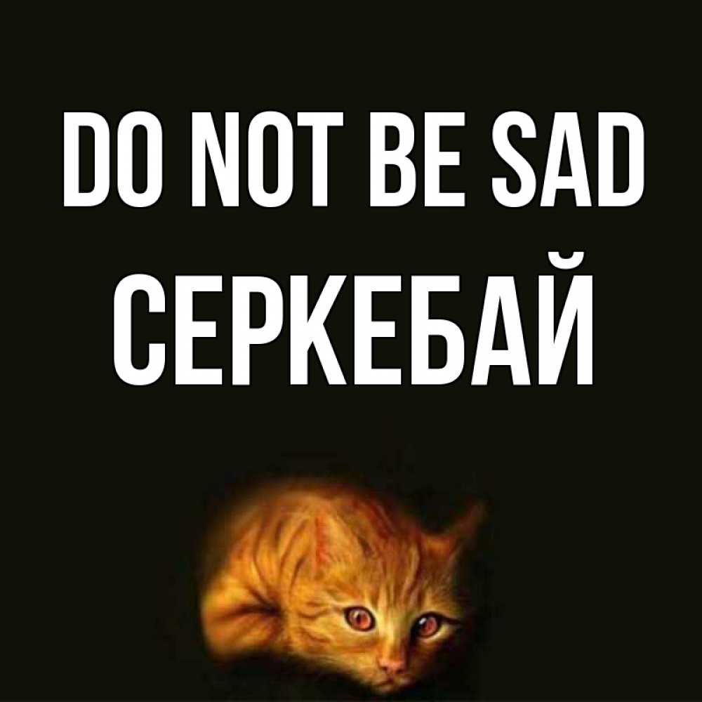Greetings card с именем, СЕРКЕБАЙ Do not be sad лежащий кот в темноте Greetings with text for free download 