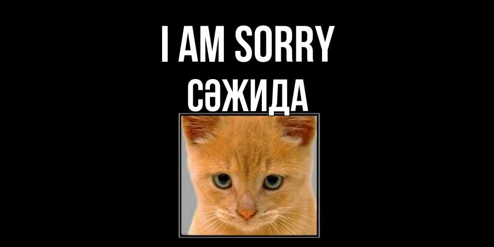 Greetings card с именем, СӘЖИДА I am sorry рыжий грустный кот просит прощения Greetings with text for free download 