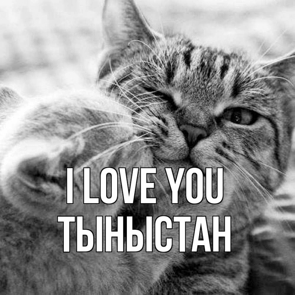 Greetings card с именем, ТЫНЫСТАН I love you коты Greetings with text for free download 
