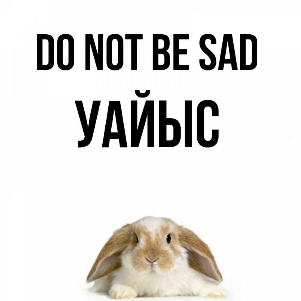Greetings card с именем, УАЙЫС Do not be sad коричнево белый заяц с большими ушками Greetings with text for free download 