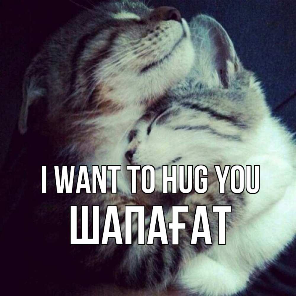 Greetings card с именем, ШАПАҒАТ I want to hug you полосатики Greetings with text for free download 