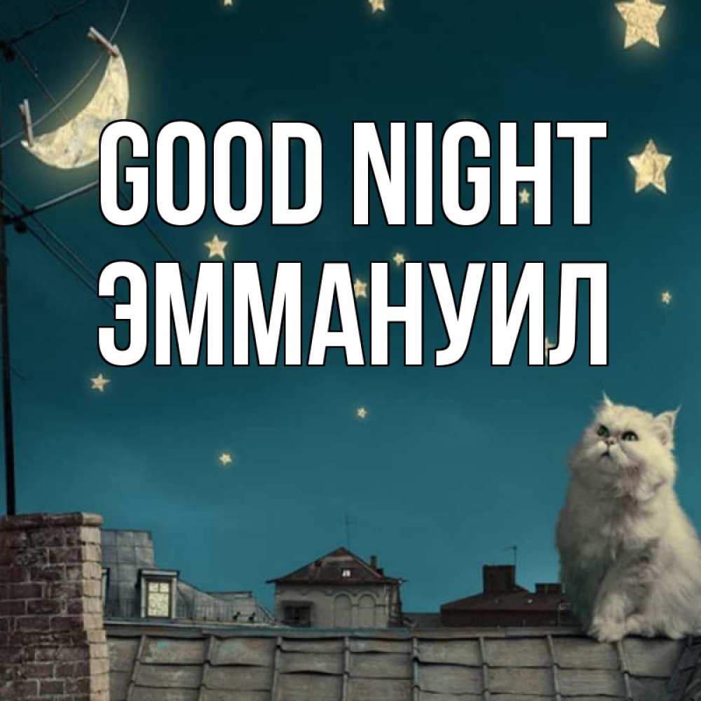 Greetings card с именем, Эммануил Good night белый кот сидит на крыше Greetings with text for free download 