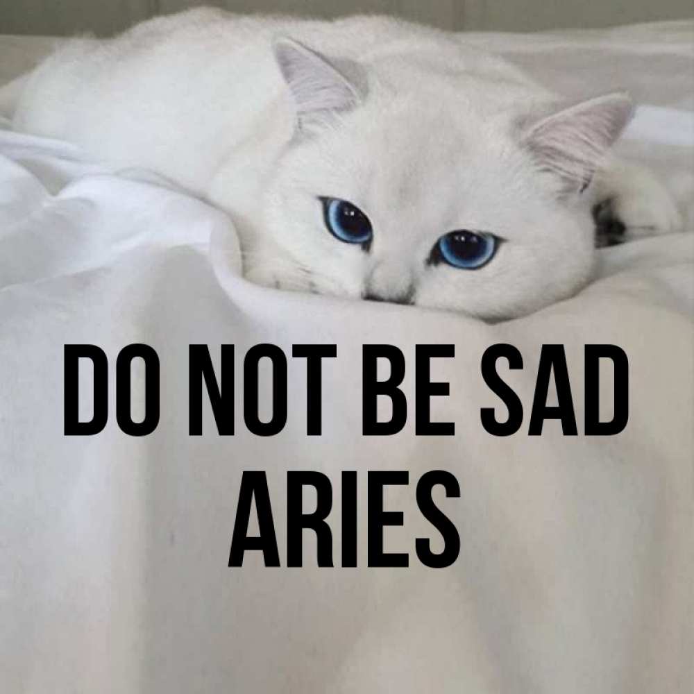 Greetings card с именем, Aries Do not be sad Голубоглазая кошка Greetings with text for free download 