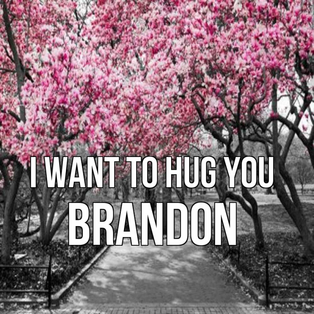 Greetings card с именем, Brandon I want to hug you обработанное фото Greetings with text for free download 