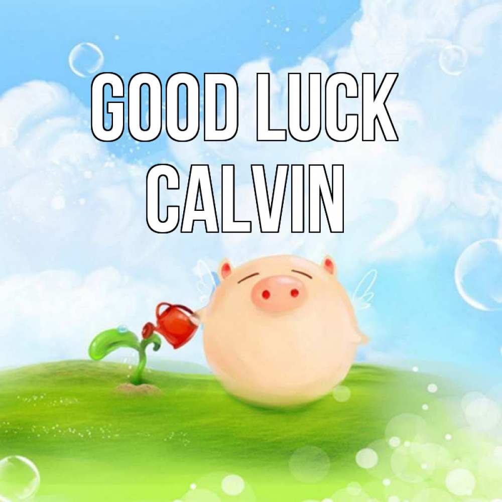 Greetings card с именем, Calvin Good luck поросенок поливает цветок. летнее настроение Greetings with text for free download 