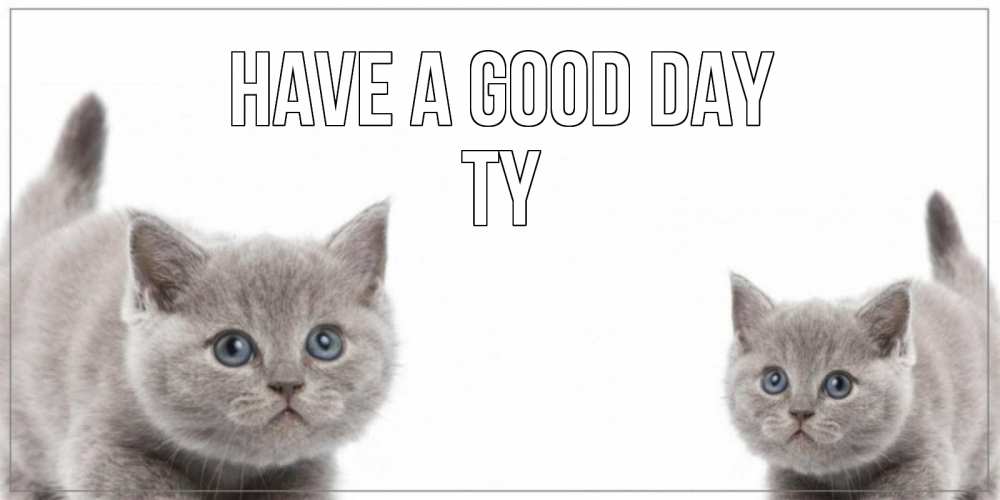 Greetings card с именем, Ty Have a good day открытка с котами Greetings with text for free download 