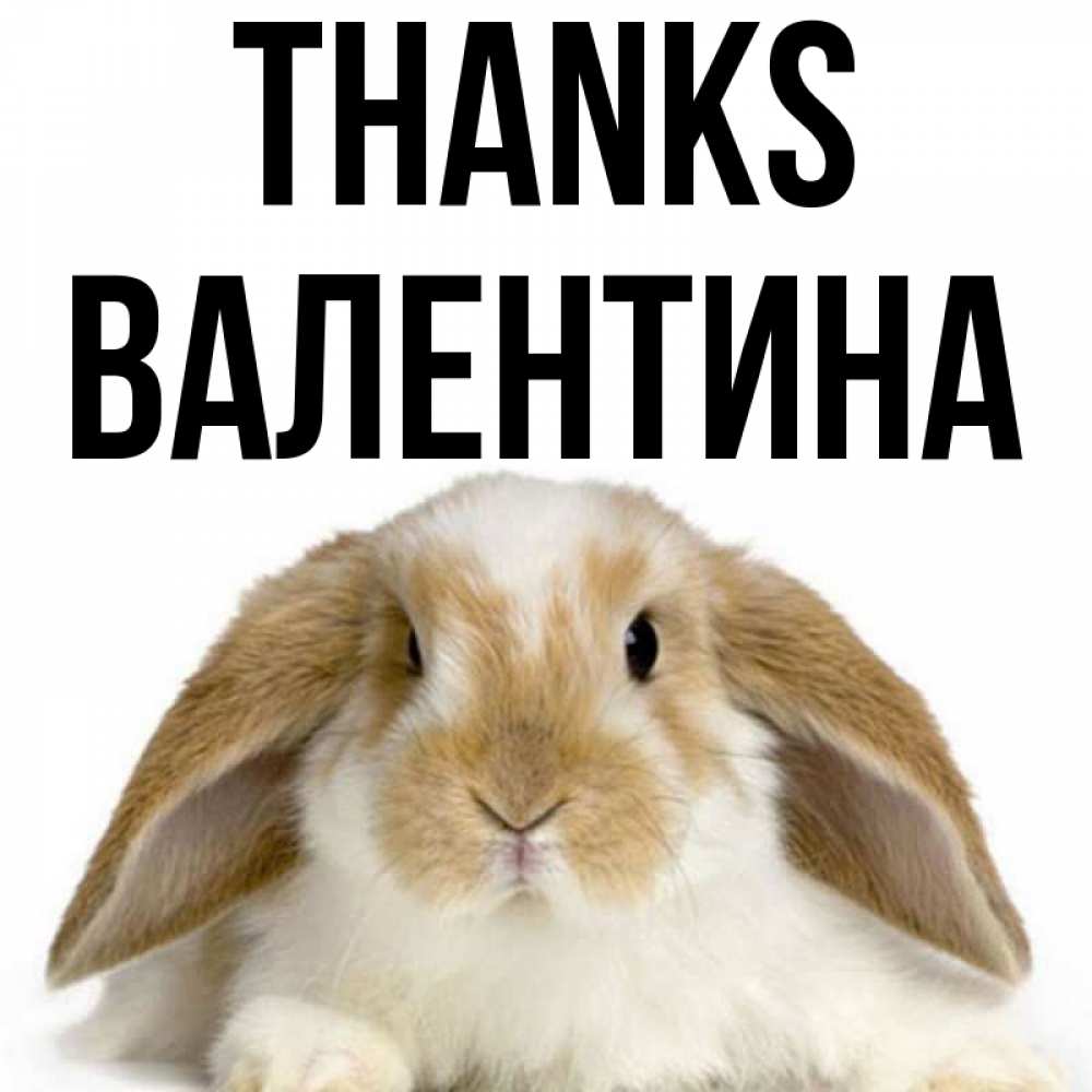 Greetings card с именем, Валентина Thanks коричнево белый заяц Greetings with text for free download 