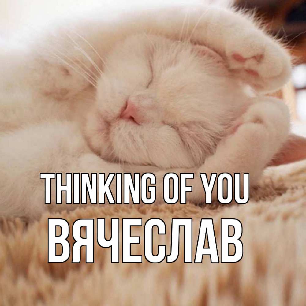 Greetings card с именем, Вячеслав Thinking of you для любимой девушки милота Greetings with text for free download 