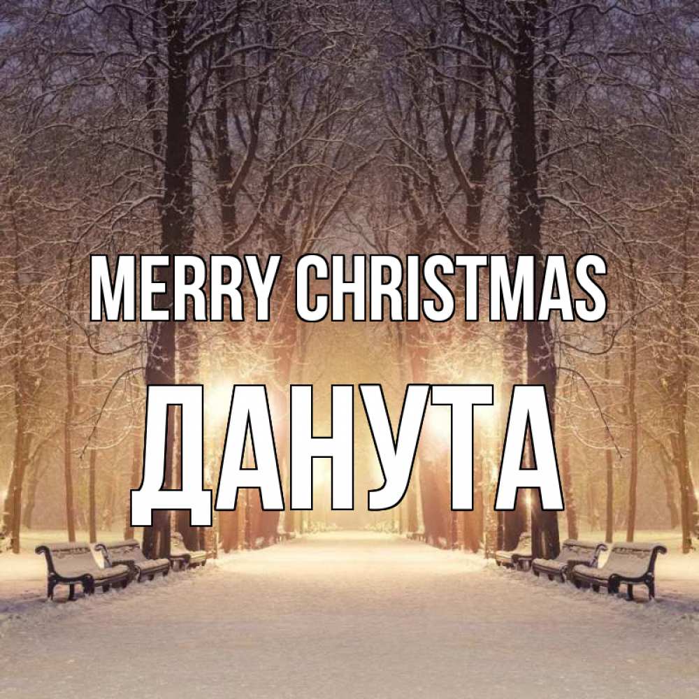 Greetings card с именем, Данута Merry Christmas зима, парк, фонарь, лес Greetings with text for free download 