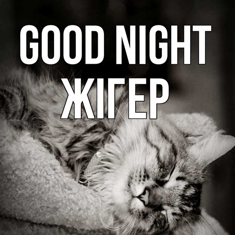Greetings card с именем, Жігер Good night котярик пушистый Greetings with text for free download 