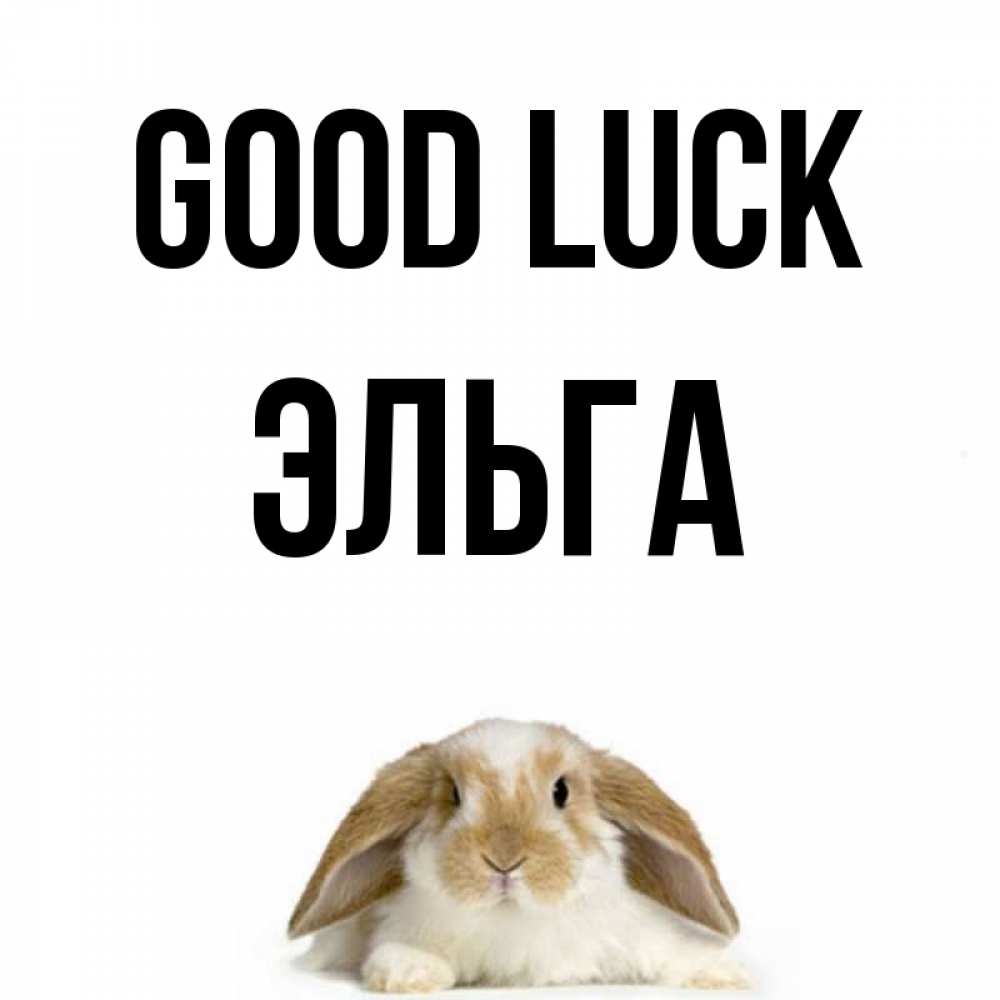 Greetings card с именем, Эльга Good luck открытки с произвольным текстом который можно вставить в открытку и создать ее самостоятельно бесплатно онлайн Greetings with text for free download 