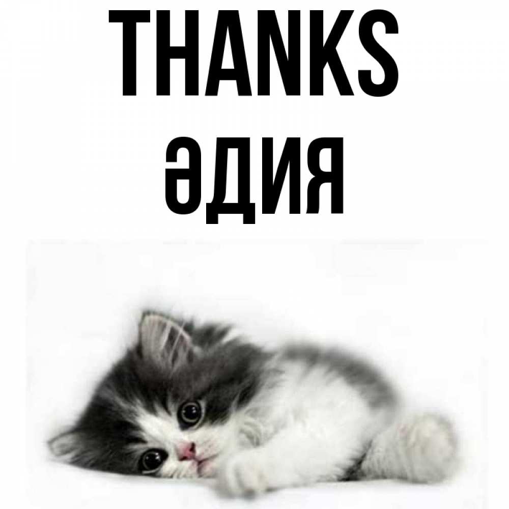 Greetings card с именем, ӘДИЯ Thanks черный и белый кот Greetings with text for free download 