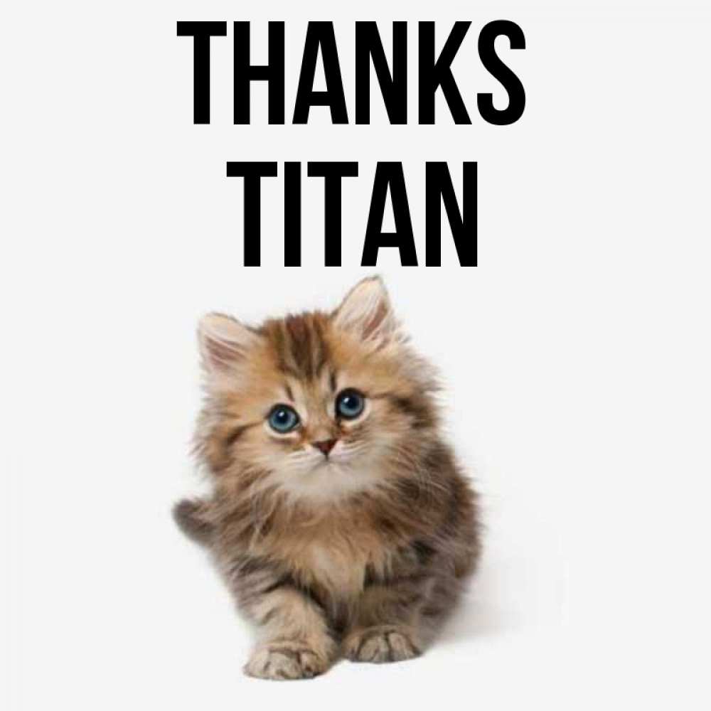 Greetings card с именем, Titan Thanks пушистый котик Greetings with text for free download 