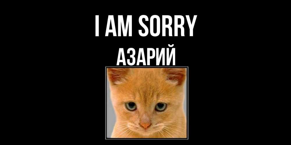 Greetings card с именем, Азарий I am sorry рыжий грустный кот просит прощения Greetings with text for free download 