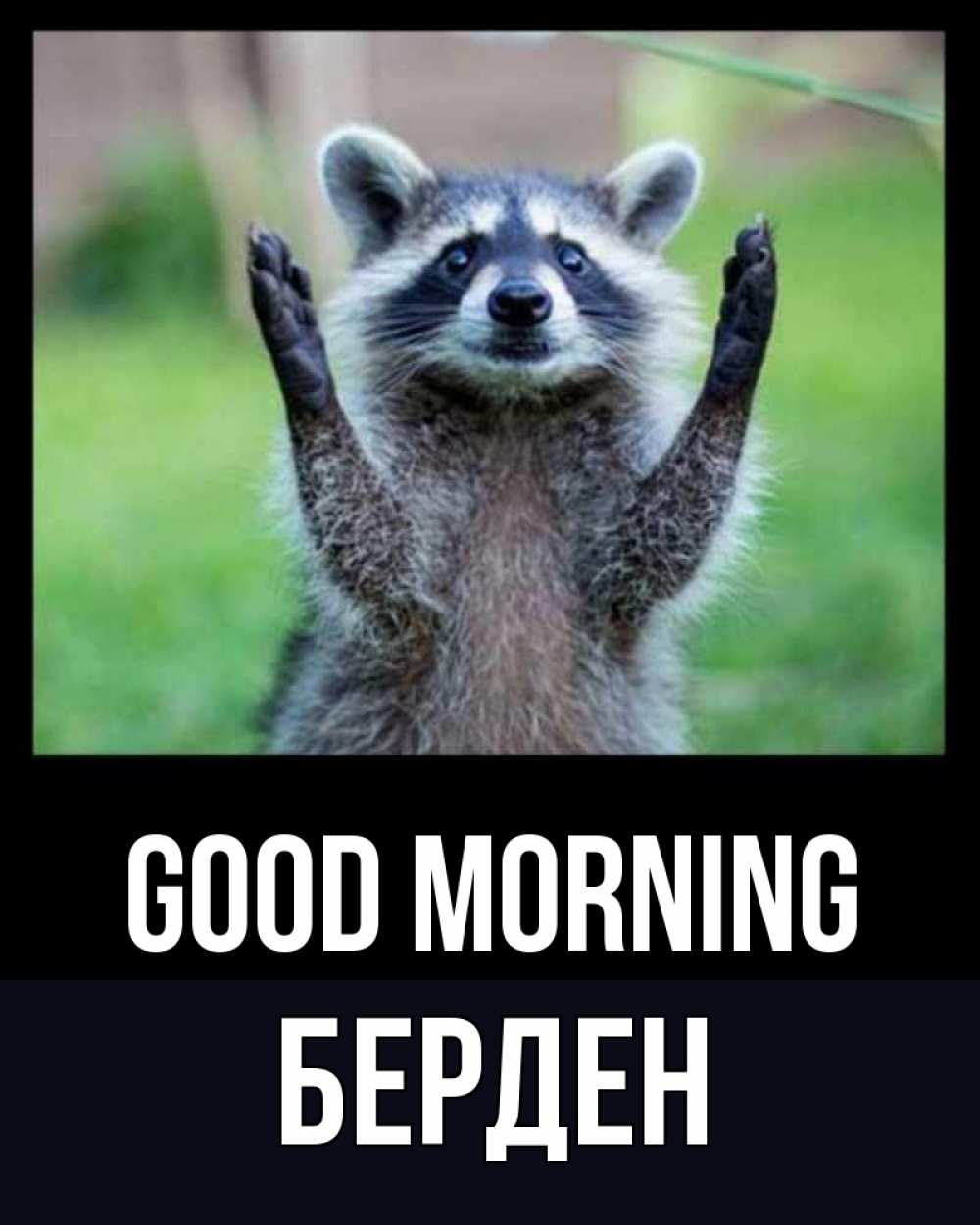 Greetings card с именем, Берден Good morning хорошее настроение утречком Greetings with text for free download 