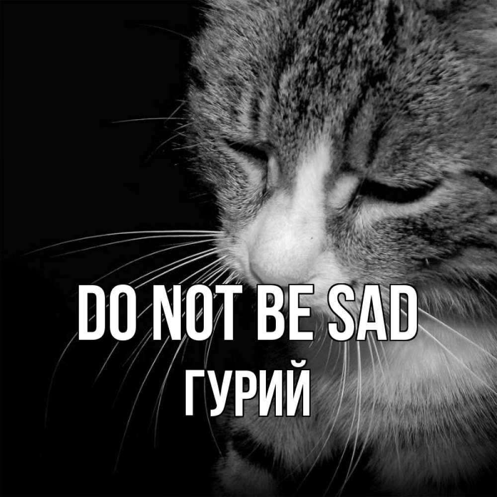 Greetings card с именем, Гурий Do not be sad грустный котик Greetings with text for free download 