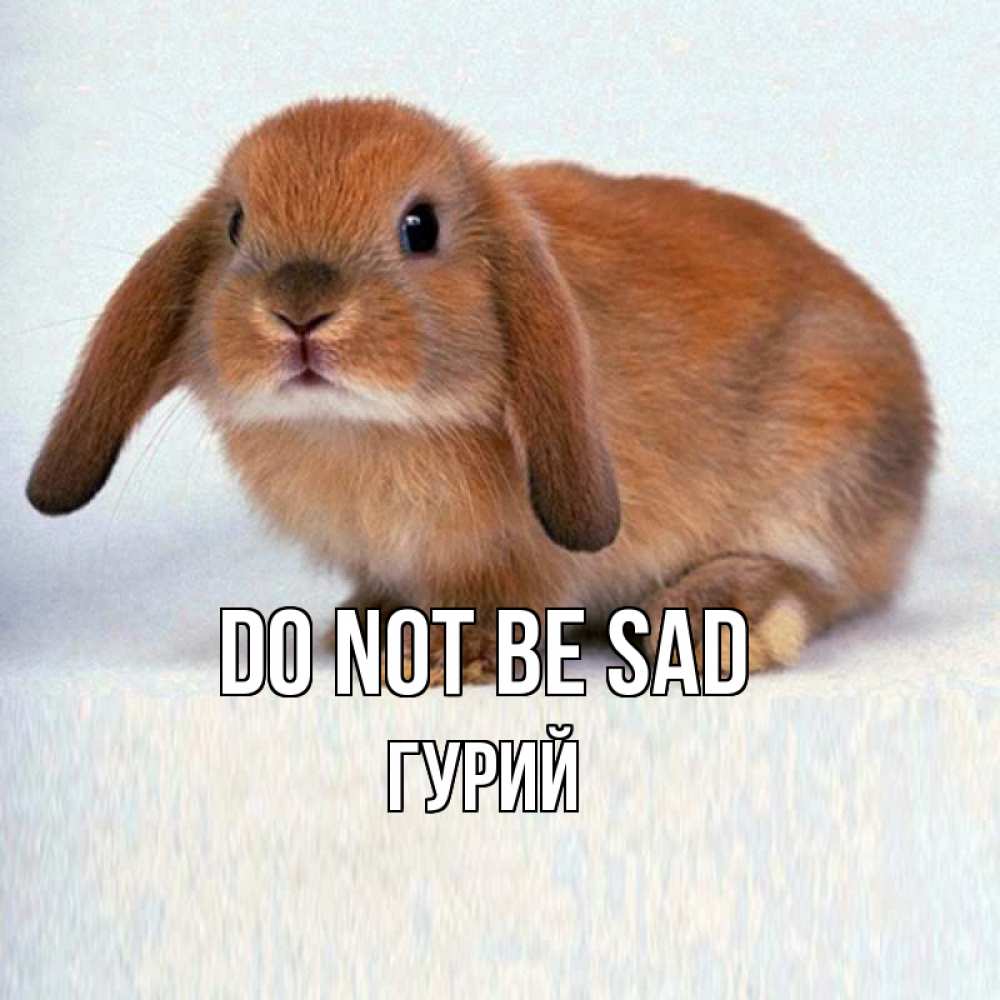 Greetings card с именем, Гурий Do not be sad вислоухий рыжий кролик Greetings with text for free download 