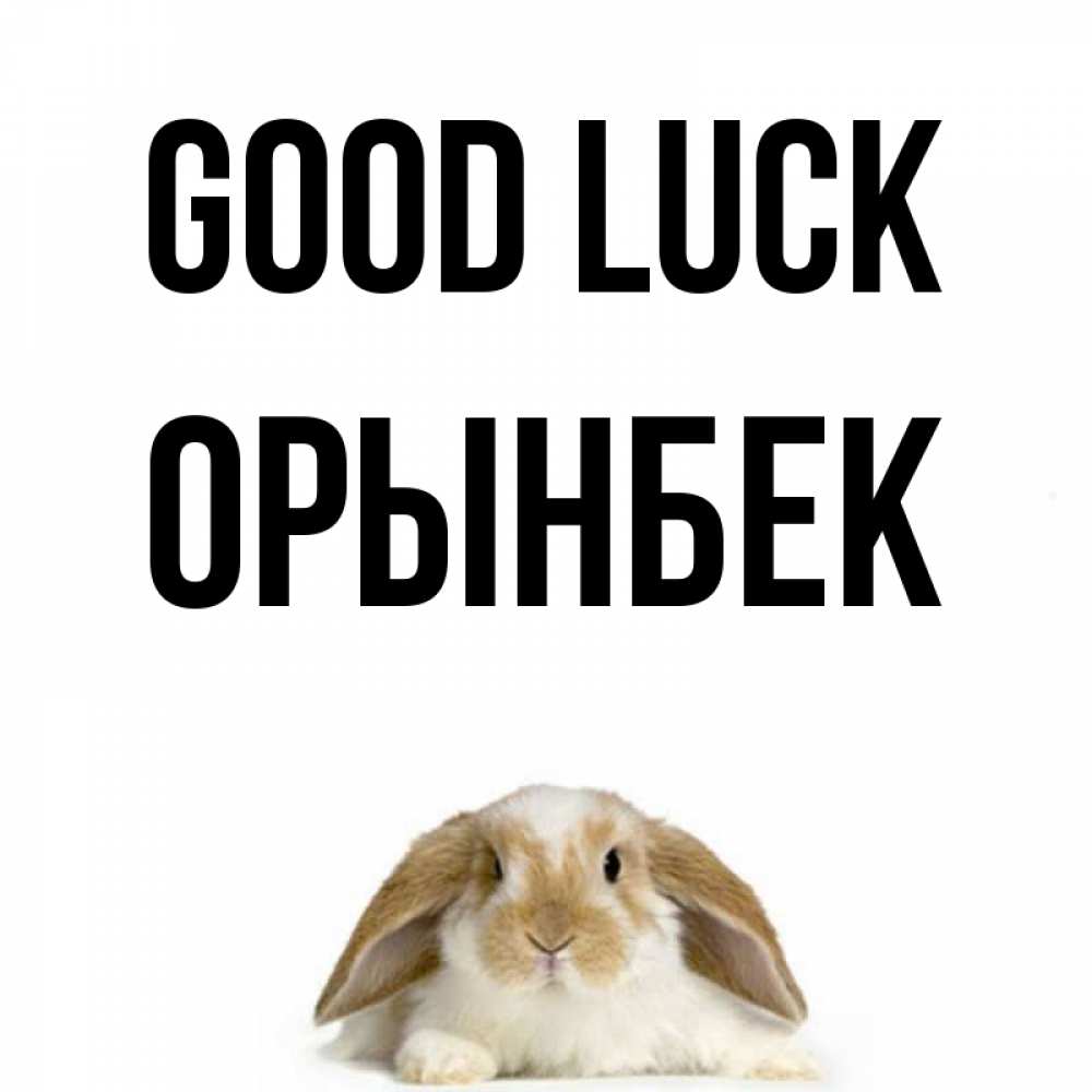 Greetings card с именем, ОРЫНБЕК Good luck открытки с произвольным текстом который можно вставить в открытку и создать ее самостоятельно бесплатно онлайн Greetings with text for free download 