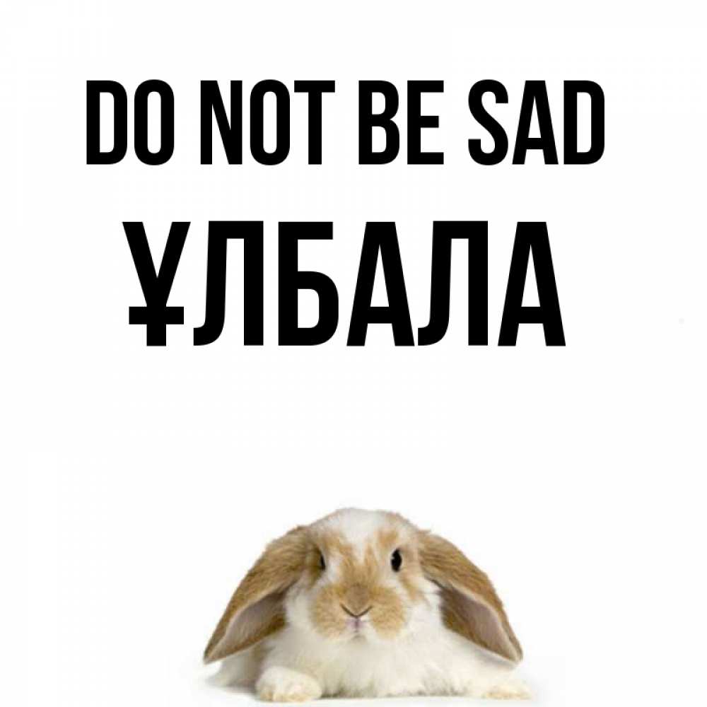 Greetings card с именем, ҰЛБАЛА Do not be sad коричнево белый заяц с большими ушками Greetings with text for free download 