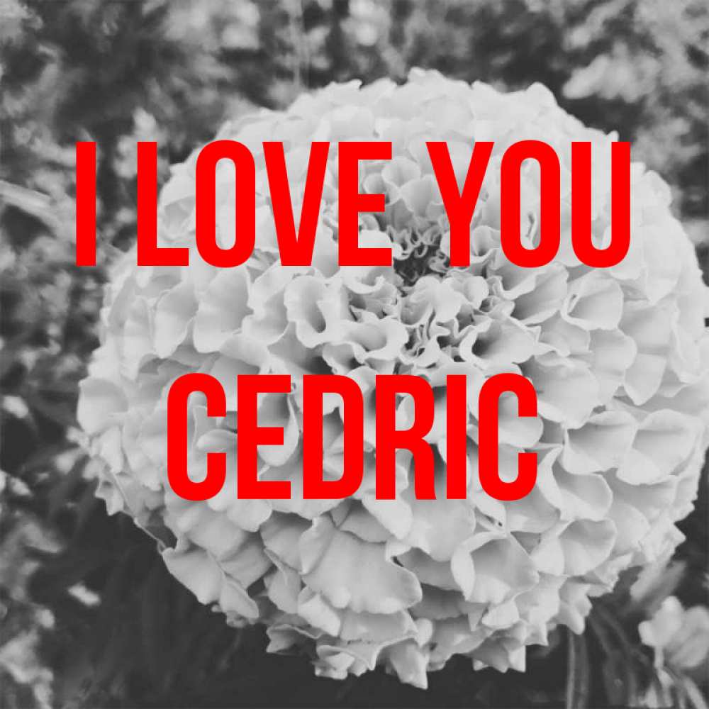Greetings card с именем, Cedric I love you подпись Greetings with text for free download 