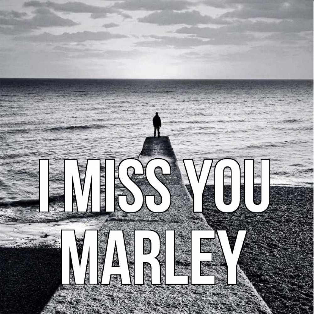 Greetings card с именем, Marley I miss you скучашки Greetings with text for free download 