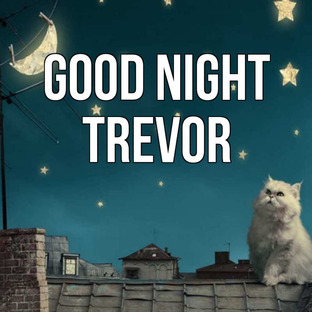 Greetings card с именем, Trevor Good night белый кот сидит на крыше Greetings with text for free download 