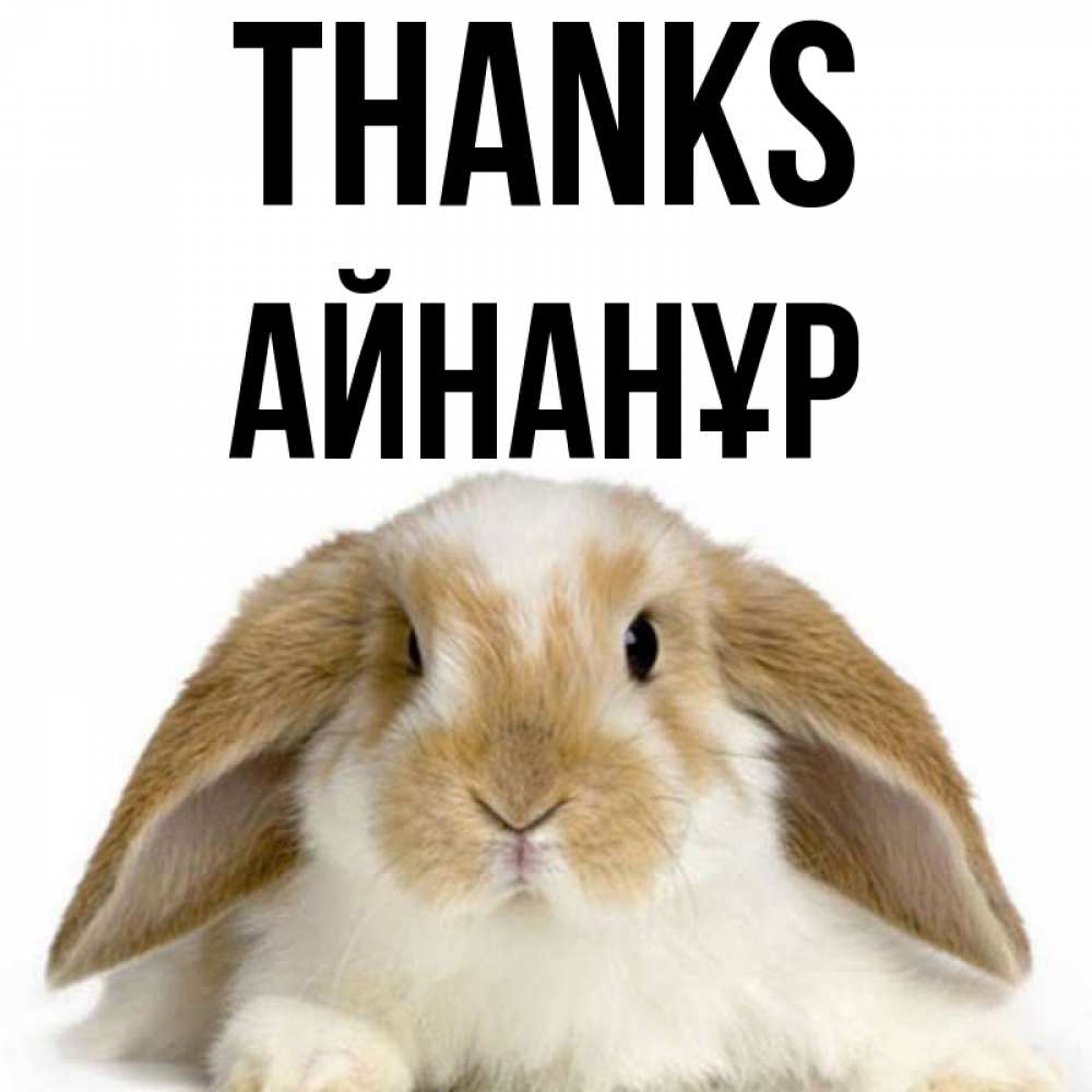 Greetings card с именем, Айнанұр Thanks коричнево белый заяц Greetings with text for free download 
