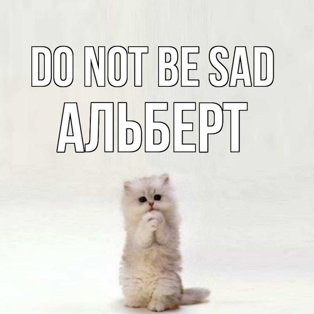 Greetings card с именем, Альберт Do not be sad грустный кот Greetings with text for free download 