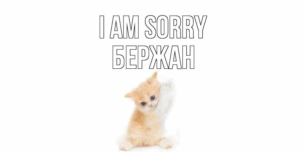 Greetings card с именем, Бержан I am sorry кот Greetings with text for free download 