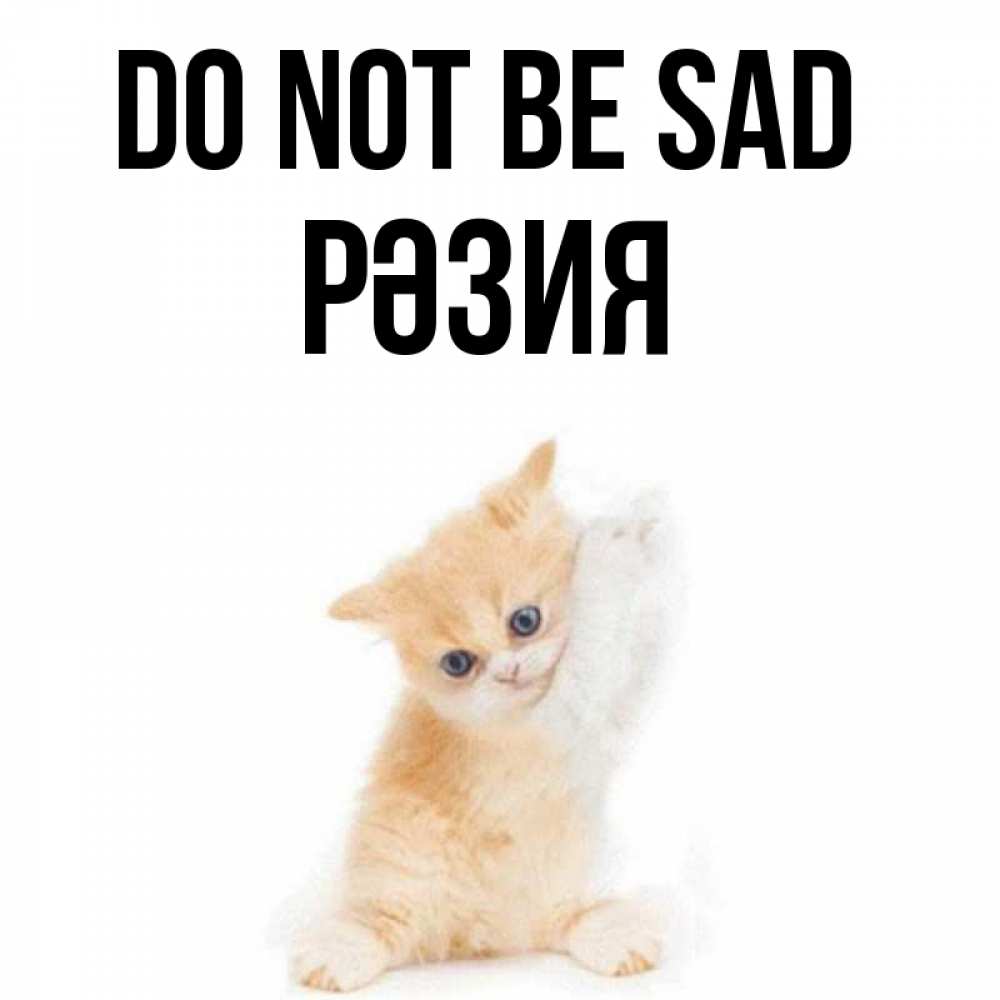 Greetings card с именем, РӘЗИЯ Do not be sad просящий кот Greetings with text for free download 