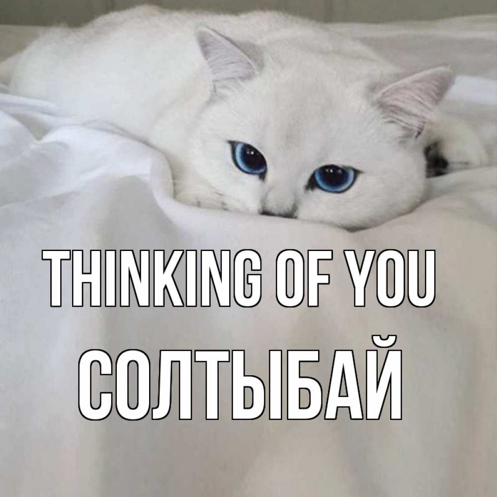 Greetings card с именем, СОЛТЫБАЙ Thinking of you я очень по тебе скучаю и тоскую Greetings with text for free download 