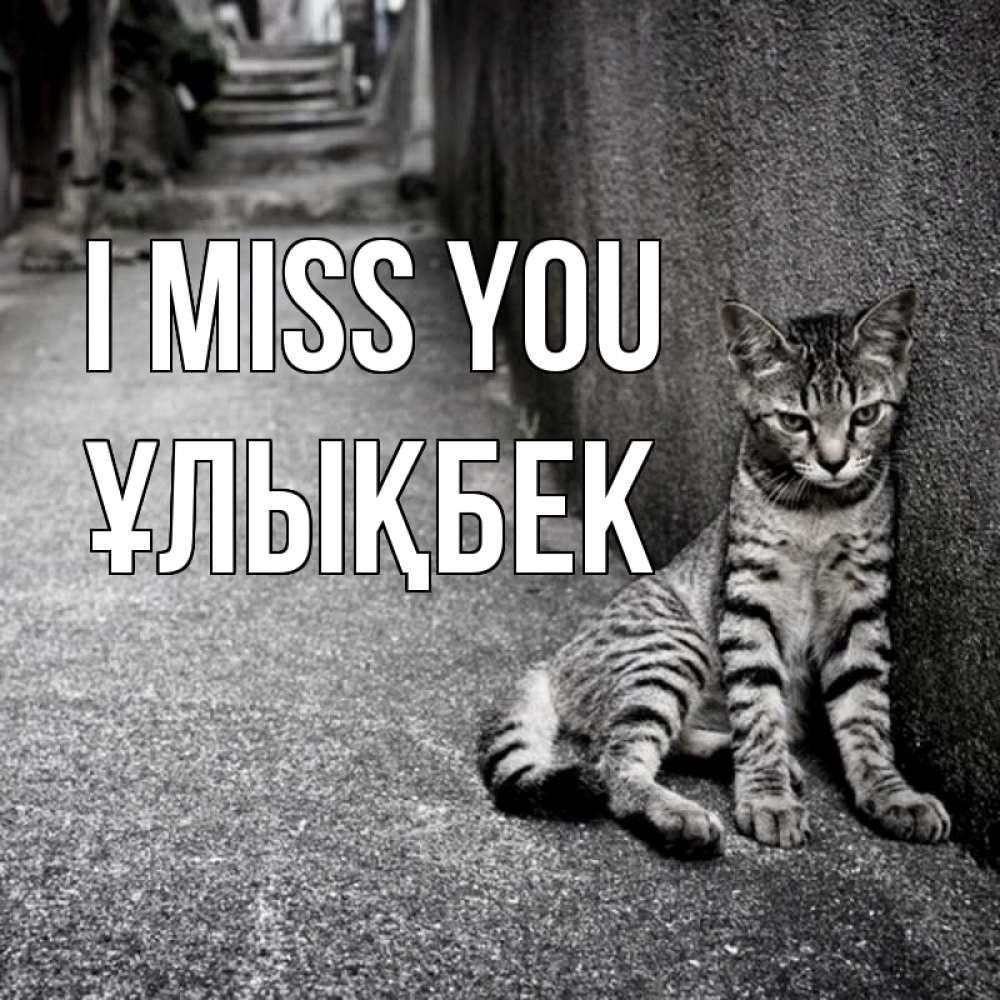 Greetings card с именем, ҰЛЫҚБЕК I miss you одиноко котику Greetings with text for free download 