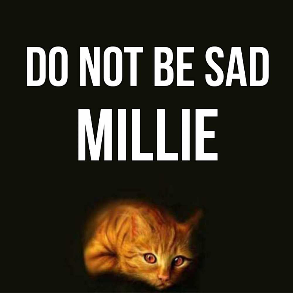 Greetings card с именем, Millie Do not be sad лежащий кот в темноте Greetings with text for free download 
