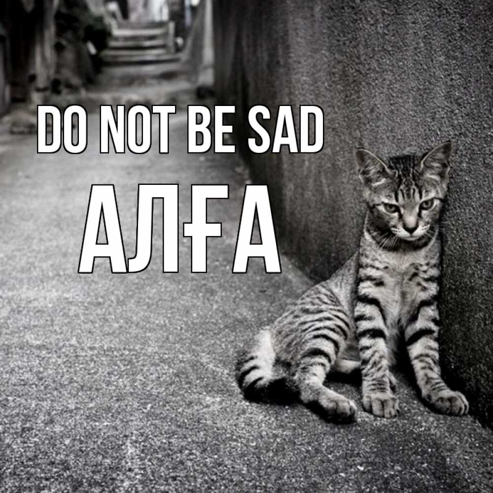 Greetings card с именем, Алға Do not be sad скучающий котик Greetings with text for free download 