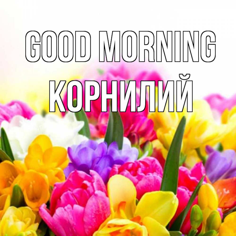 Greetings card с именем, Корнилий Good morning создать открытку со свое подписью Greetings with text for free download 