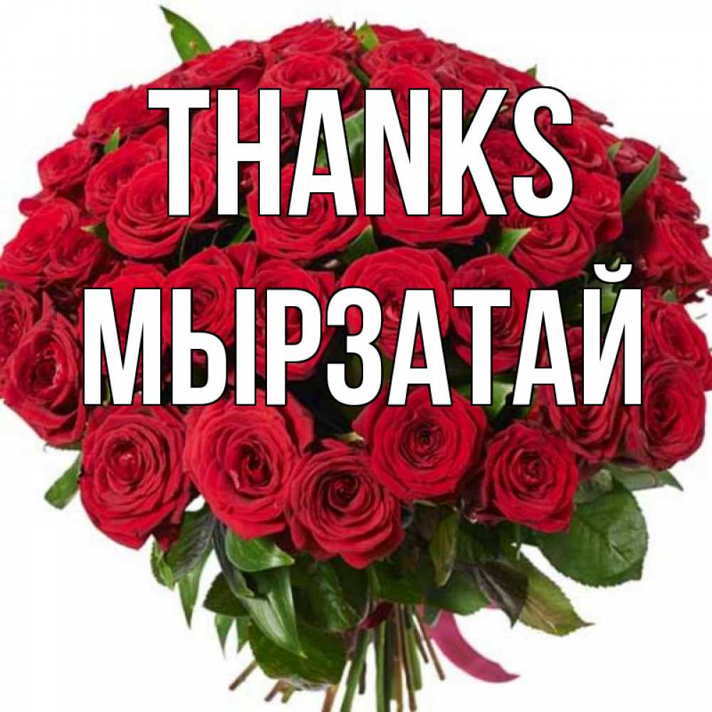 Greetings card с именем, Мырзатай Thanks букет красных роз Greetings with text for free download 