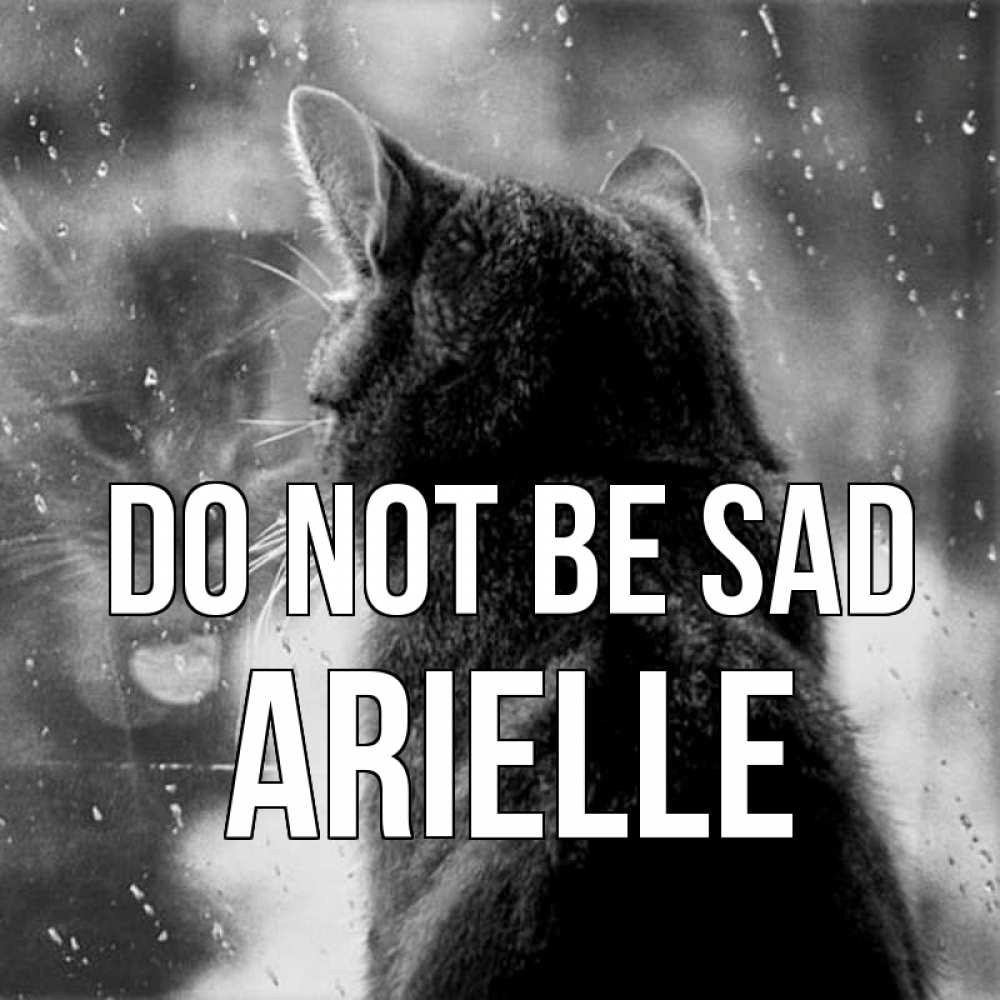 Greetings card с именем, Arielle Do not be sad отражение кота 1 Greetings with text for free download 