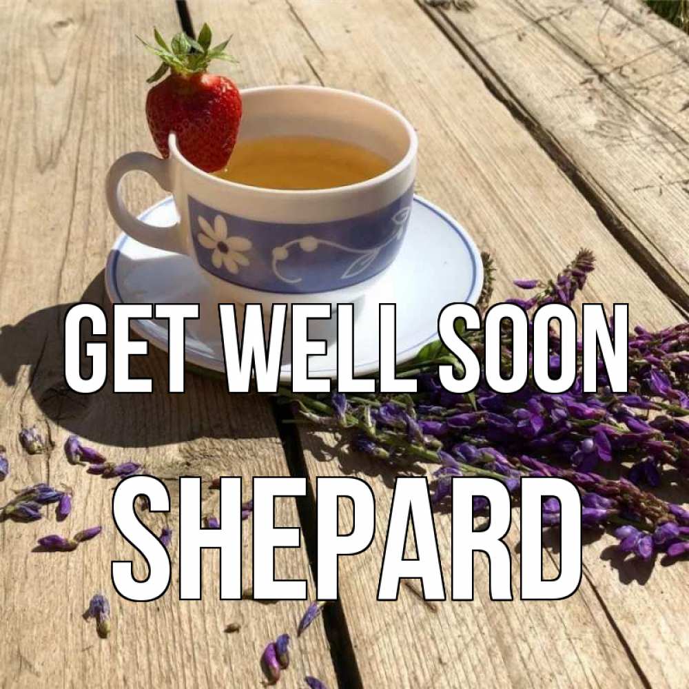 Greetings card с именем, Shepard Get well soon чай Greetings with text for free download 