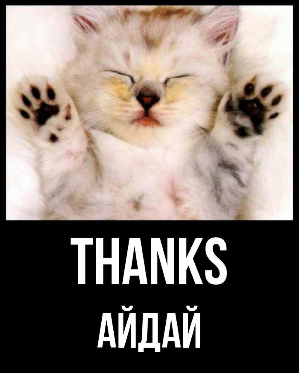 Greetings card с именем, АЙДАЙ Thanks маленький котенок Greetings with text for free download 