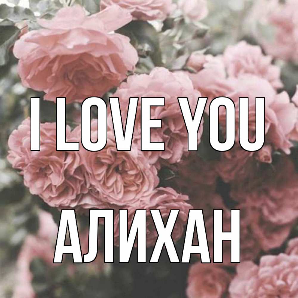 Greetings card с именем, Алихан I love you розы 3 Greetings with text for free download 