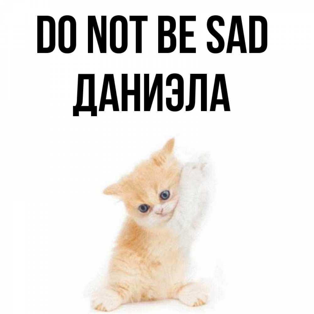 Greetings card с именем, Даниэла Do not be sad просящий кот Greetings with text for free download 