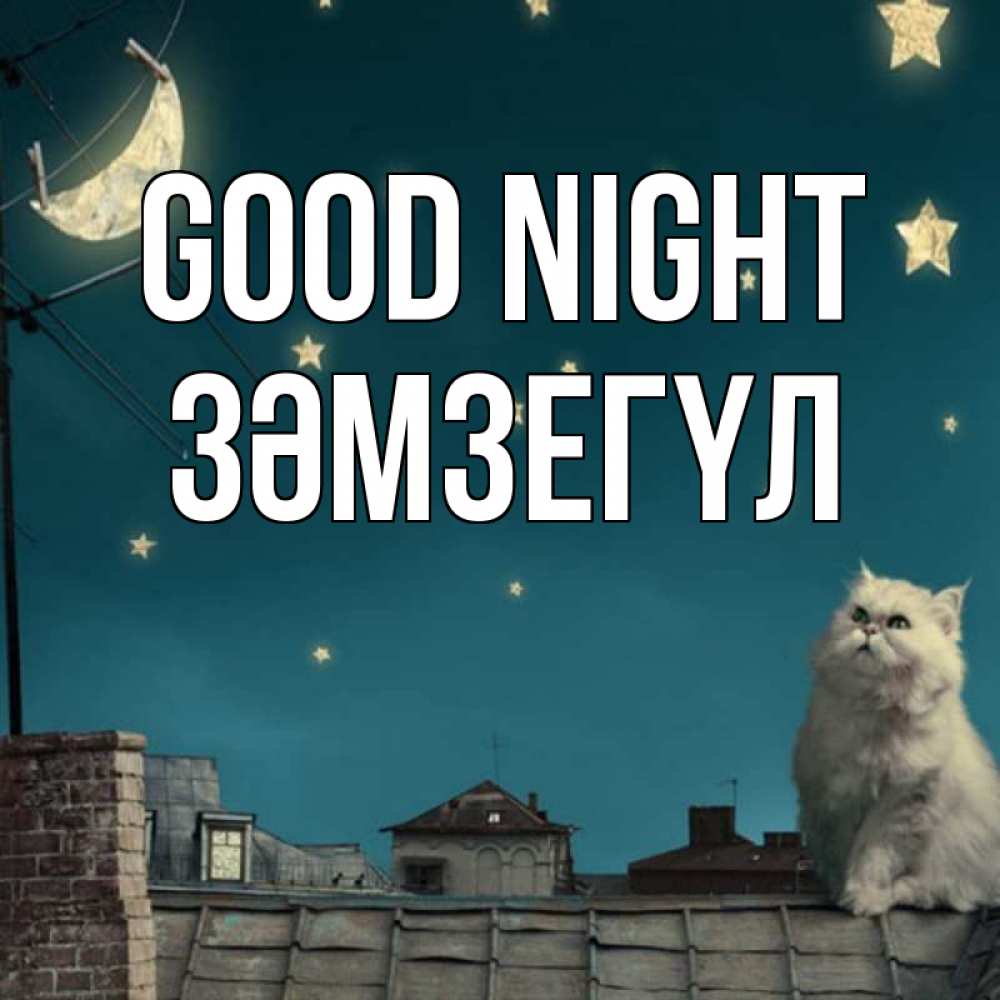 Greetings card с именем, ЗӘМЗЕГҮЛ Good night белый кот сидит на крыше Greetings with text for free download 