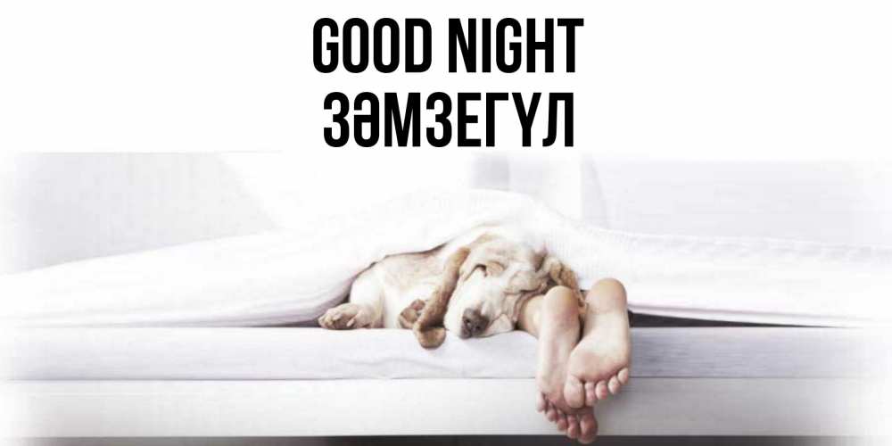 Greetings card с именем, ЗӘМЗЕГҮЛ Good night кровать с собакой пожелание сладких снов и спокойной ночи Greetings with text for free download 