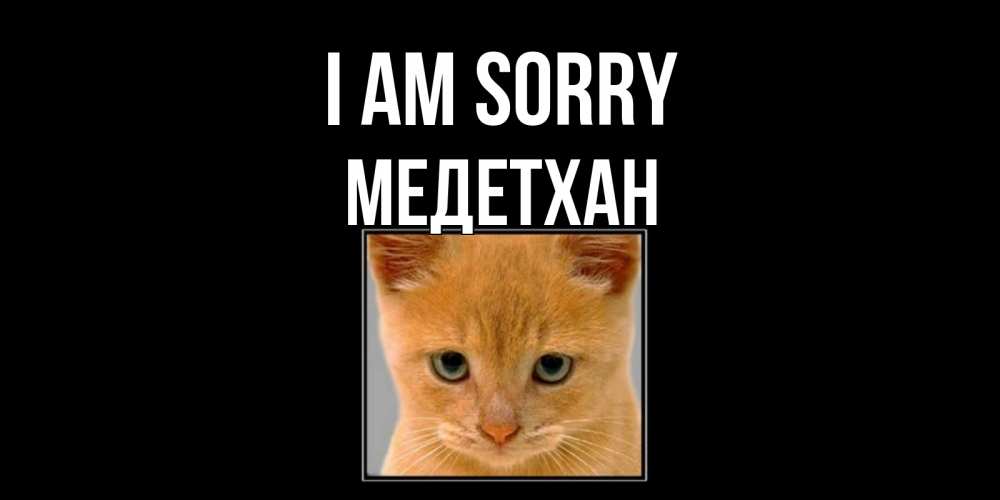 Greetings card с именем, МЕДЕТХАН I am sorry рыжий грустный кот просит прощения Greetings with text for free download 