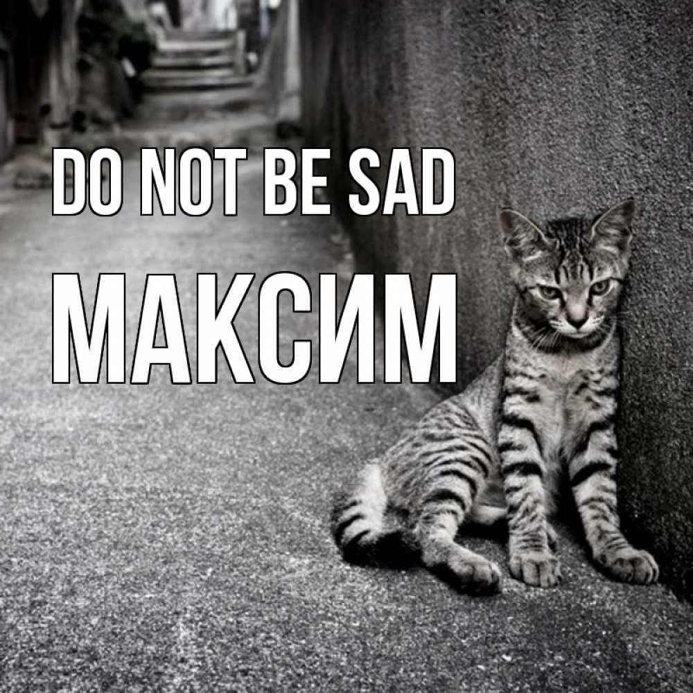 Greetings card с именем, Максим Do not be sad скучающий котик Greetings with text for free download 